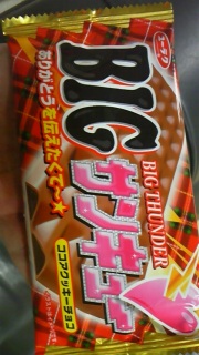�r�b�O�T���_�[
