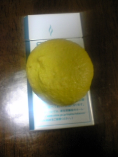 �r�b�O�}�J����